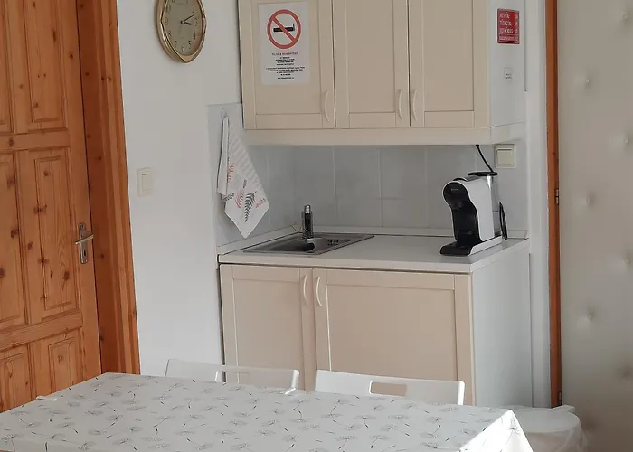 Mon-csa 巴拉顿菲赖德