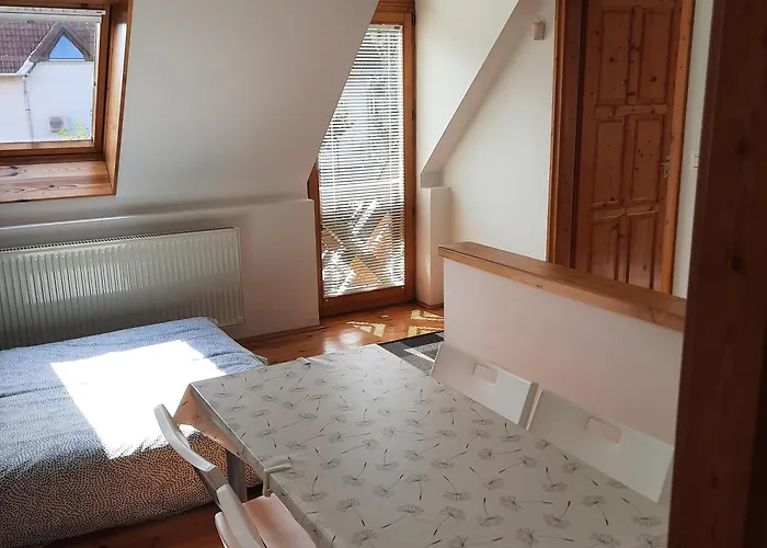 公寓 Mon-csa 巴拉顿菲赖德